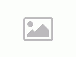 Lenovo ThinkPad T15g Gen 1 (NVIDIA RTX 2080 SUPER Max-Q 8GB)